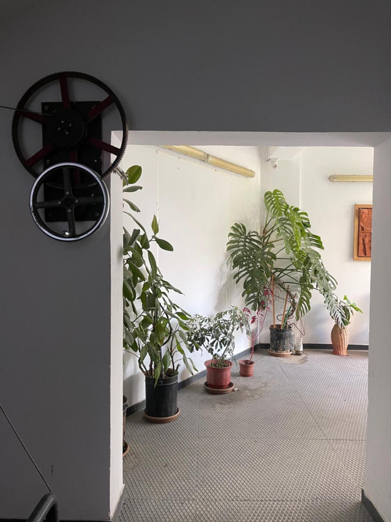 Flex Apartment Tirana Exterior foto